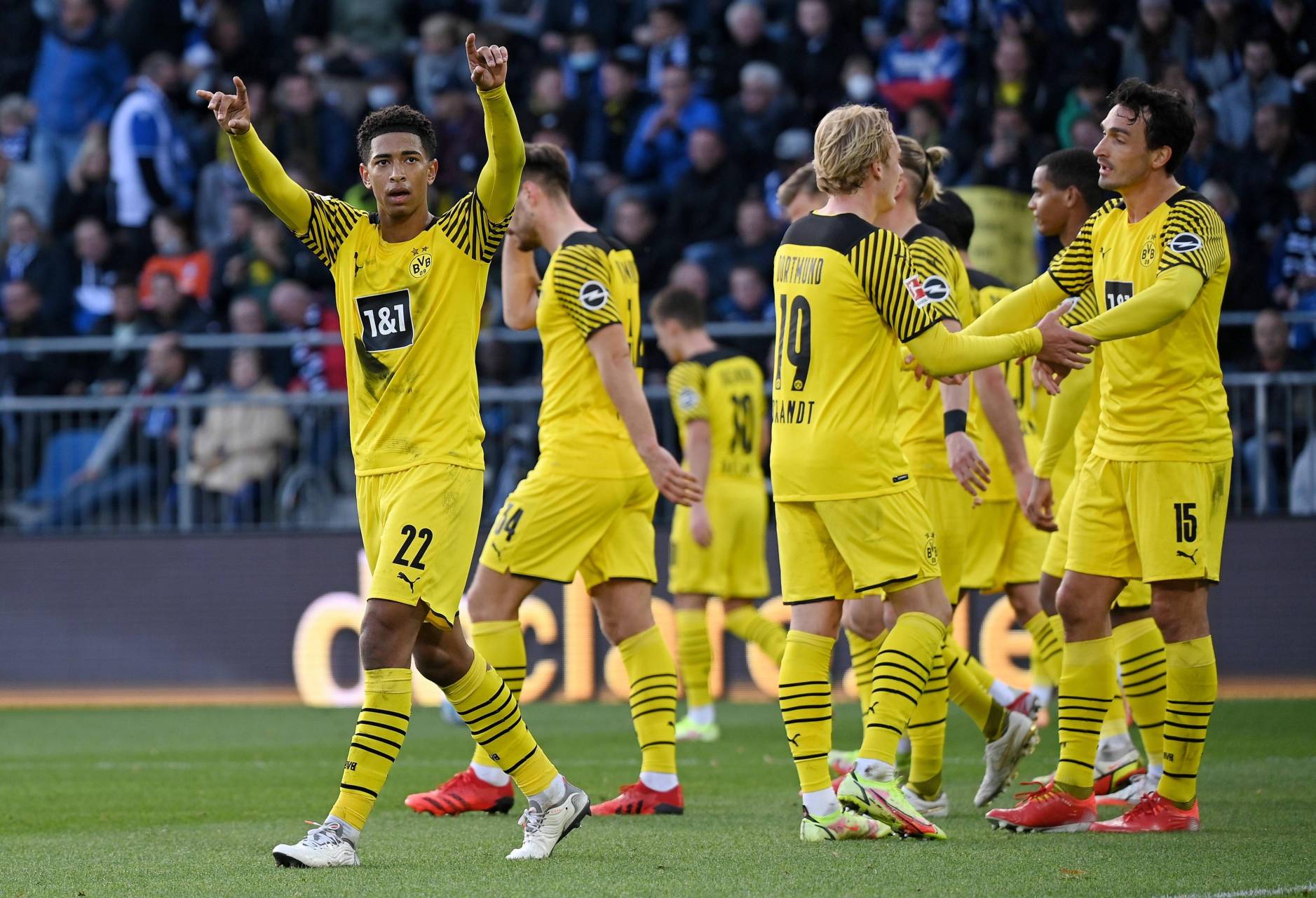 YZY202型螺旋榨油机