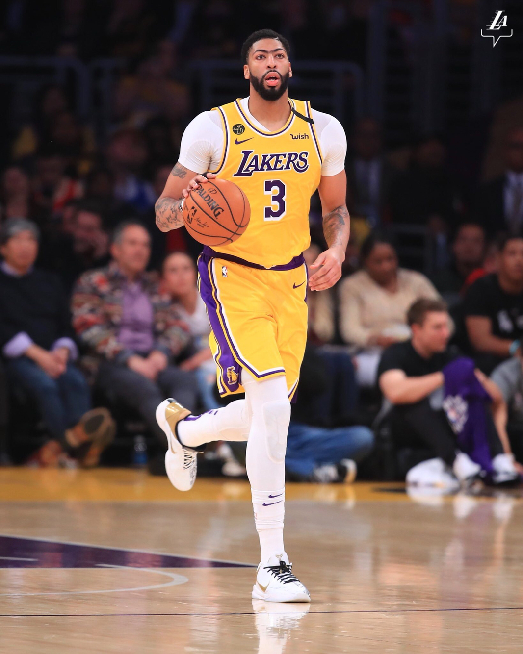 动物油熬炼设备